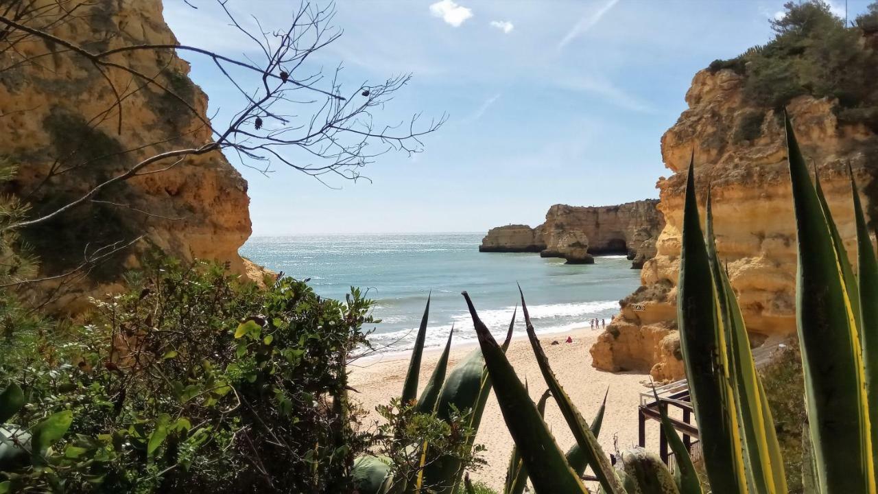 Sea View Apartman Albufeira Kültér fotó